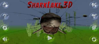 Shark Lake 3D
