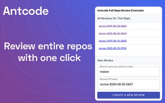 Antcode Full Repo Review Extension