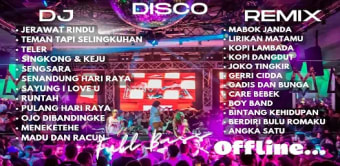 Disco Hunter DJ Remix Offline
