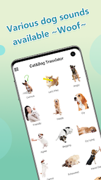 DogCat translator-Pets talk