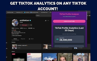 InsightTok Ai - Titkok Profile Analyzer