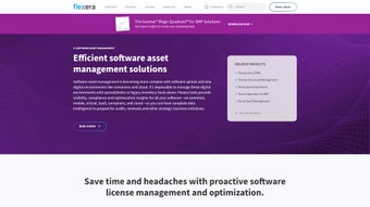 Imagen 0 para FlexNet Manager