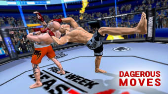 Fighting Star World Champion Game 3D
