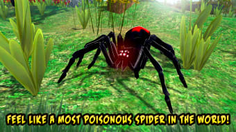 Black Widow Insect Spider Life Simulator
