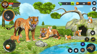 Tiger Games Wild Animal Games