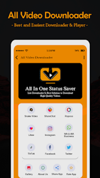 All Video Downloader