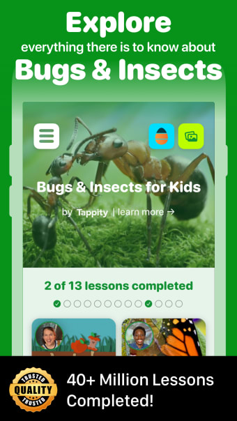 Fun Insects  Bugs for Kids