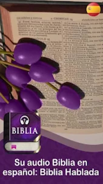 La Biblia hablada en Español