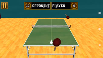Ping Pong 3D  Table Tennis
