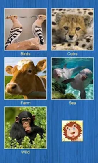 Animals Slide Puzzles
