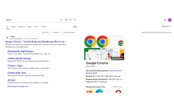 Auto Display Google Search Result Count