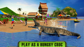 Crocodile Attack 2017