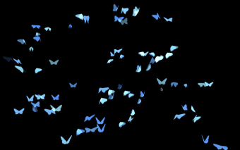 Phantom Butterflies
