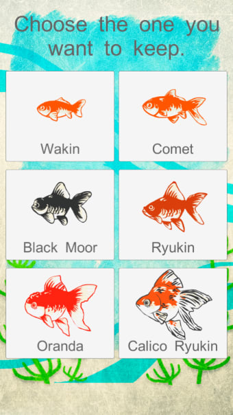 Goldfish Aquarium - Japanese Style -