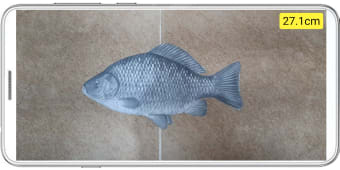 Fish ruler