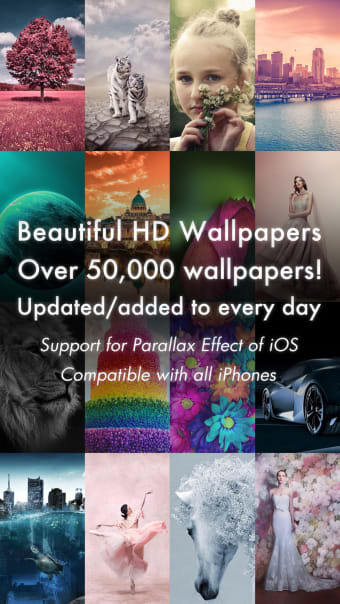 Beautiful HD Wallpapers 4KHDR