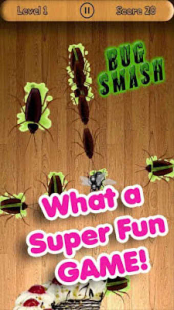 Bug Smash - Squash the Insect