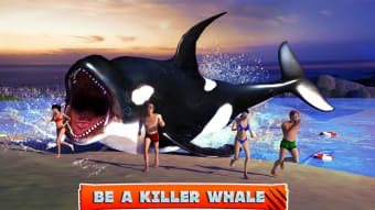 Killer Whale Beach Attack 3D