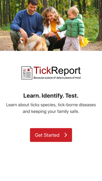 TickReport