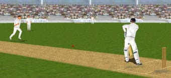 Cricket 3D