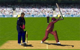 Cricket 3D