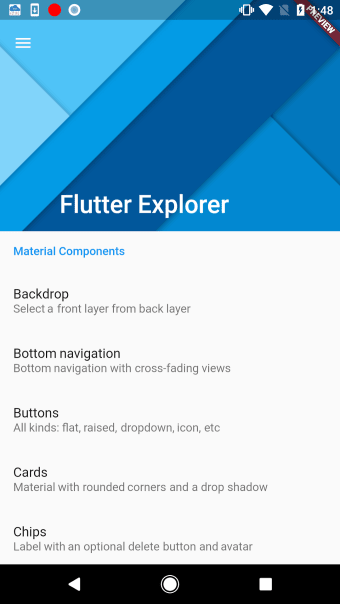 Flutter Explorer with 100 exa