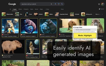 Google Search AI Image Hider