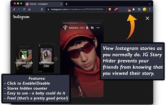IG Story Hider