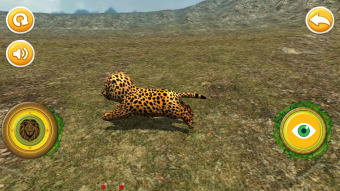 Real Cheetah Cub Simulator