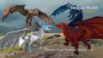 Dragon Multiplayer 3D