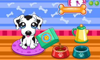Caring for puppy salon