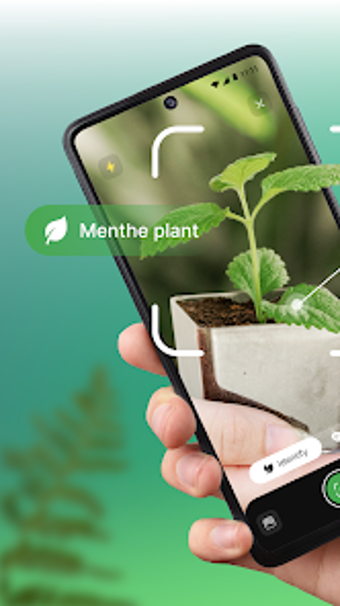 AI Plant Identifier App