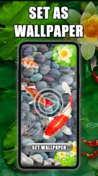 Koi Pond Live Wallpaper