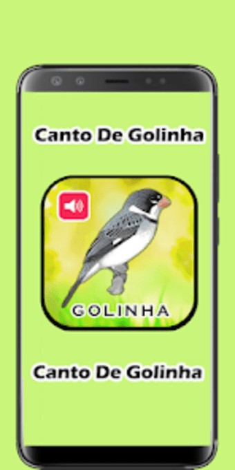 Canto De Golinha HD
