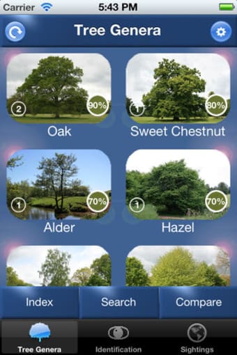 Tree Id identify UK trees