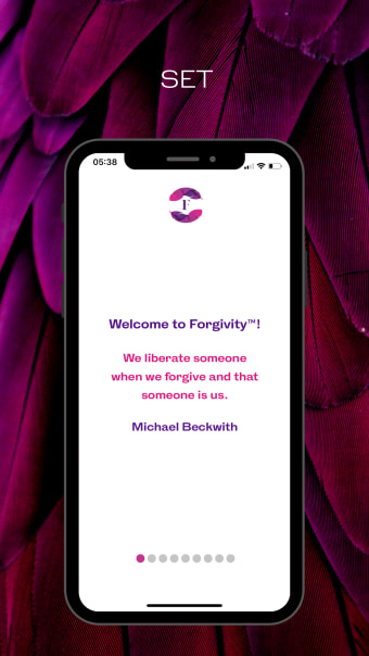 Forgivity