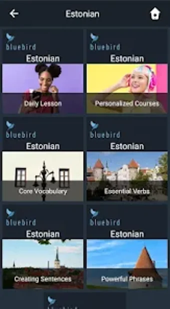 Learn Estonian. Speak Estonian