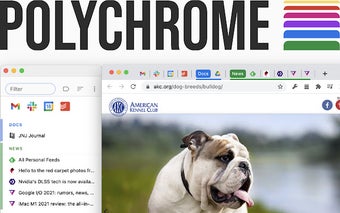 Polychrome: Vertical Tab Groups & Search