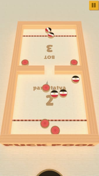 Puck Pool - Fast Sling Puck 3D