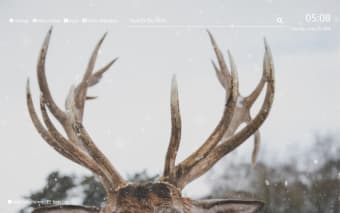 Winter Deer Wallpaper HD New Tab Theme©