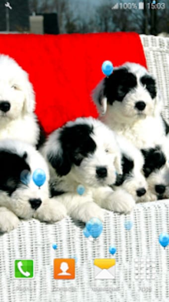 Cute Puppies Live Wallpapers