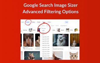 Google Search Image Sizer