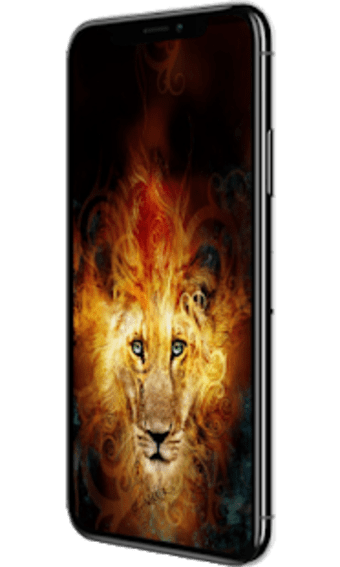 Roaring Fire Lion Lock Lock Screen Lion wallpaper