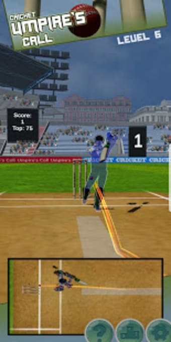 Cricket LBW - Umpires Call