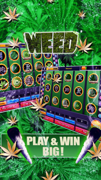 Dream of Weed Slot Machines  Free Slots  Casino