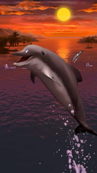 Dolphins live wallpaper