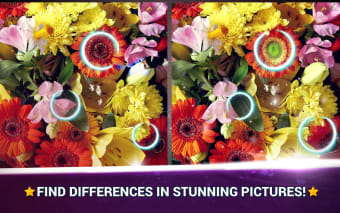 Find the Difference Flowers – Spot the Differences