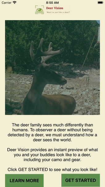 Deer Vision