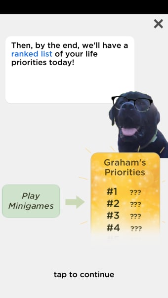 The Priorities Game