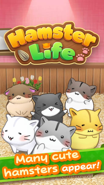 Hamster Life Match and home
